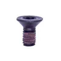 (355B) TORX SCREW M5X10