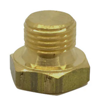 (4) BRASS PLUG