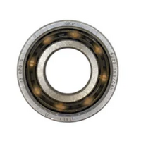 (120) Iame Balance Shaft Bearing 6202