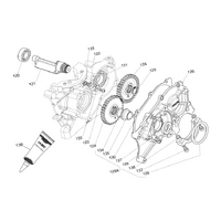 Iame X30 Balance shaft &amp; Gears