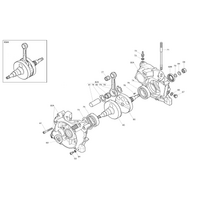 Iame X30 Crankcase &amp; Crankshaft