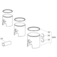 X30 Piston Assembly